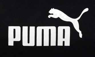puma 200 output-onlinepngtools